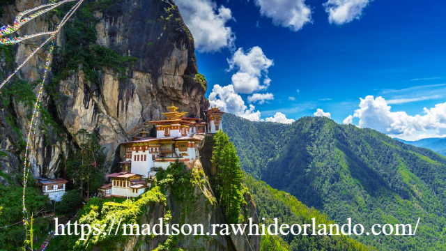 Jejak Sang Naga Guntur: Menyingkap Daya Tarik